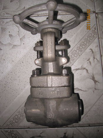 300lbs BW 1in F22 forged gate valves