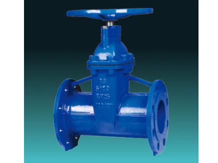 BS5163 Type A DI resilient seated gate valves