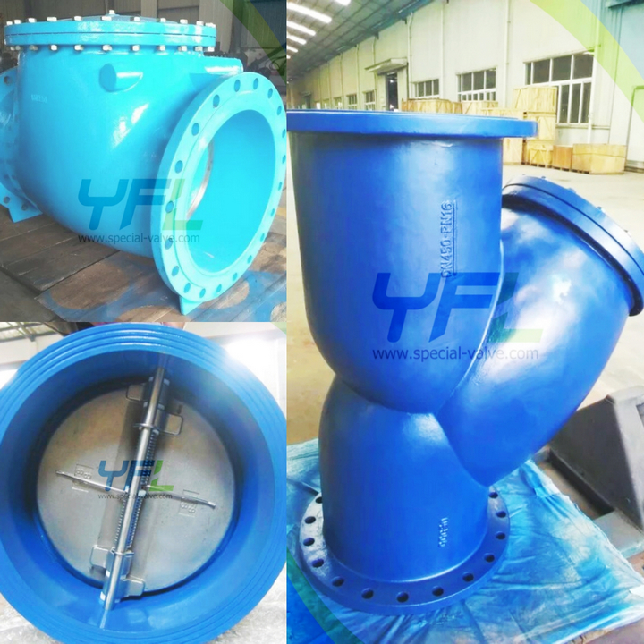 dual plate check valve, strainer