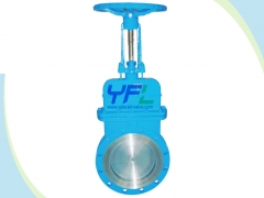 Knife gate valve with cover