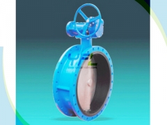 Flanged center line rubber coated butterfly valves