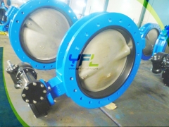 Lugged Center Line Double Shaft Butterfly Valve Without Pin