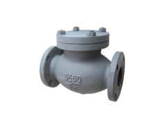 IS F 7358 Cast rion 5K lift type check valve by YFL