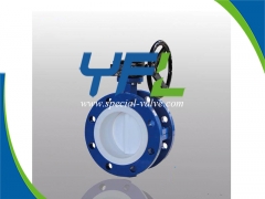 Flanged PTFE Lined butterfly valve