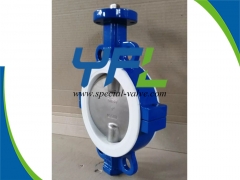 CF8M Disc PTFE Lined butterfly valve