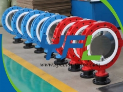 Polished CF8 Disc PTFE Lined butterfly valve