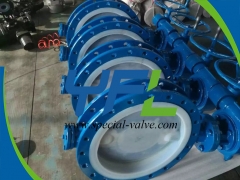 Short Flanged FEP Lined butterfly valve