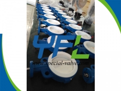 150LBS PTFE  Lined butterfly valve
