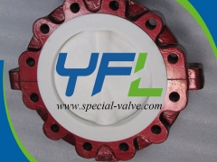 Lugged PTFE Lined butterfly valve