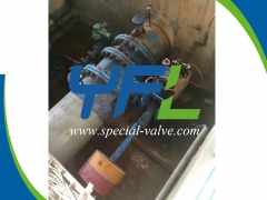 Hydraulic Butterfly valve for HPP